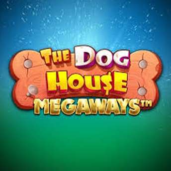 The dog house